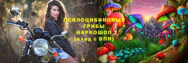 дурь Магас
