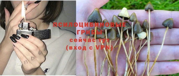 spice Медвежьегорск