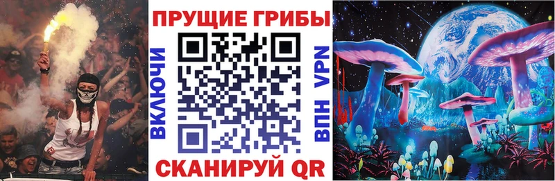 Галлюциногенные грибы мицелий mega ONION Новокубанск