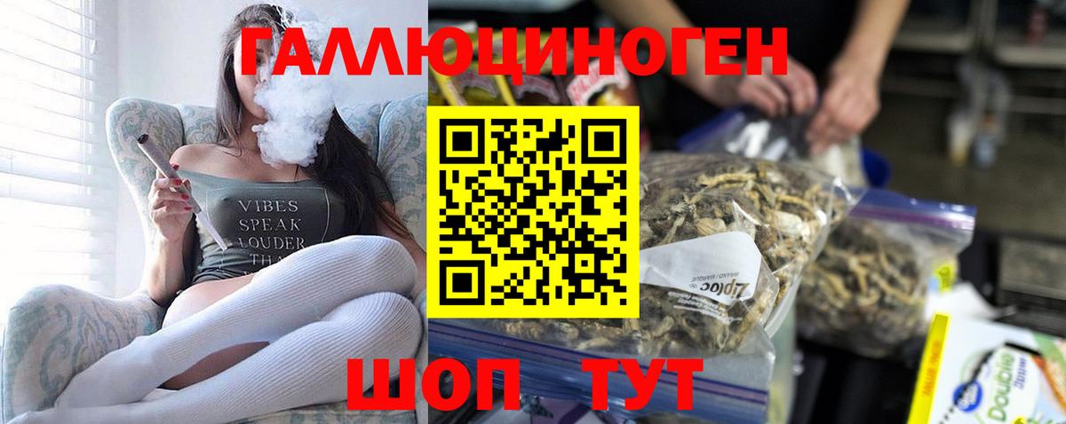 Галлюциногенные грибы мицелий  цена наркотик  Новокубанск  Вход с VPN 
