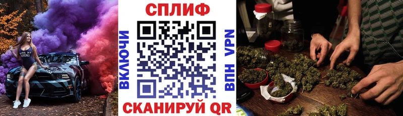 купить наркоту  кракен рабочий сайт  Конопля гибрид  сайты даркнета официальный сайт  Новокубанск 